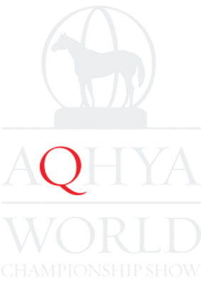 2023 AQHYA Youth World Championship Show Logo